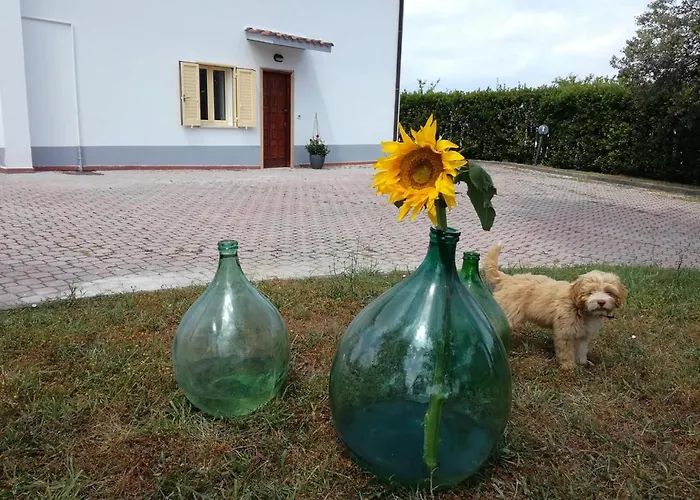 Casa Amrita, Yoga B&B