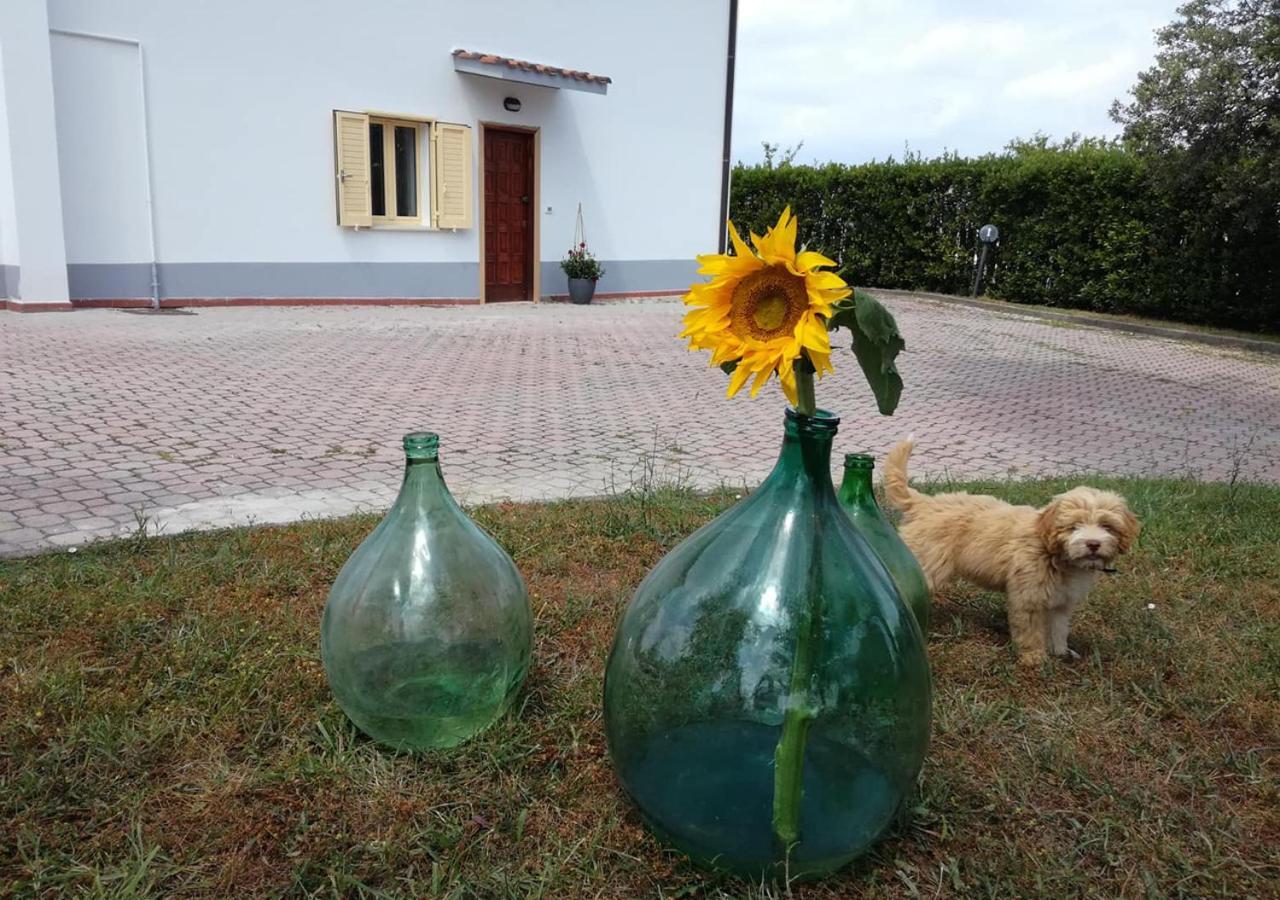 Alojamento de Acomodação e Pequeno-almoço Casa Amrita, Yoga *