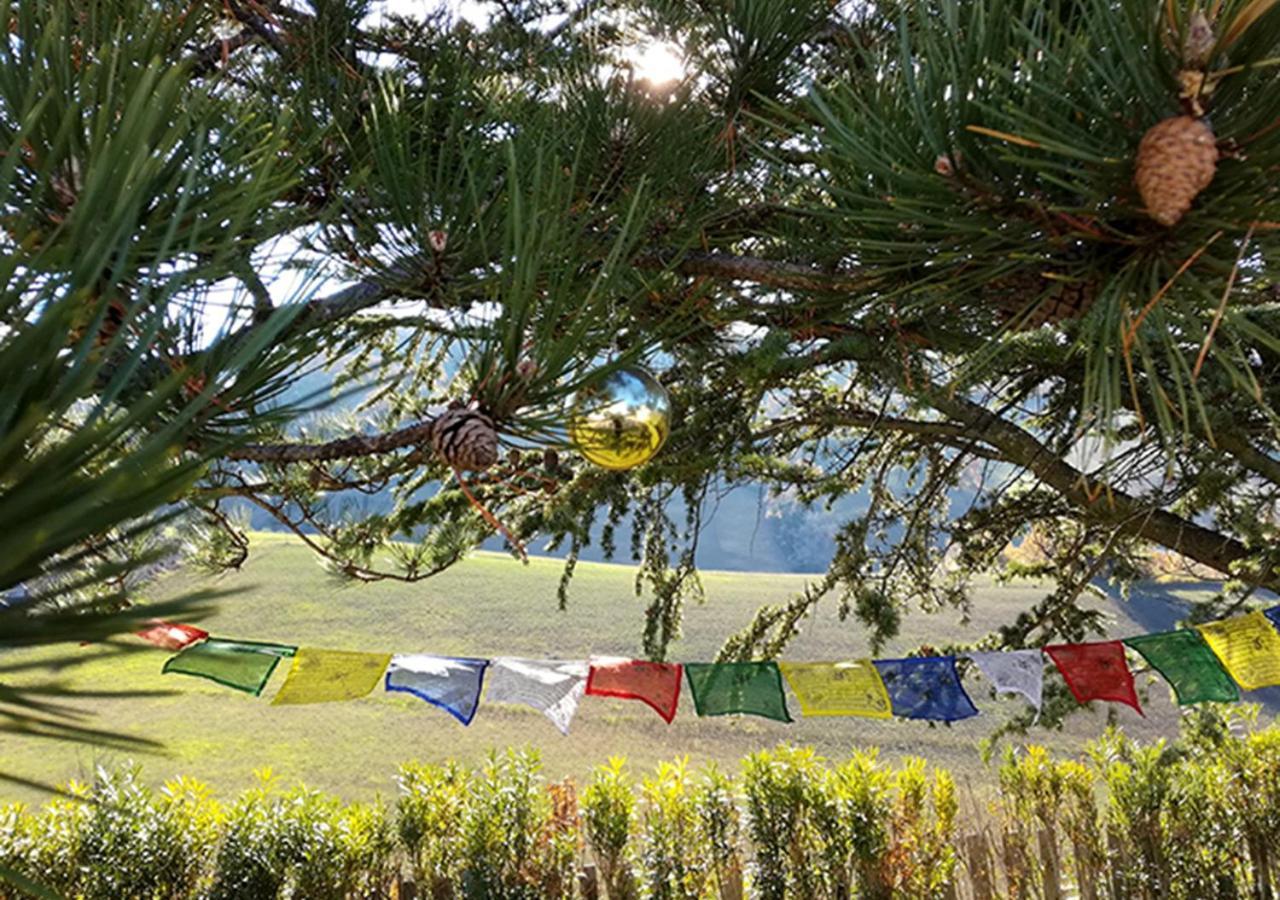 Casa Amrita, Yoga Alojamento de Acomodação e Pequeno-almoço *